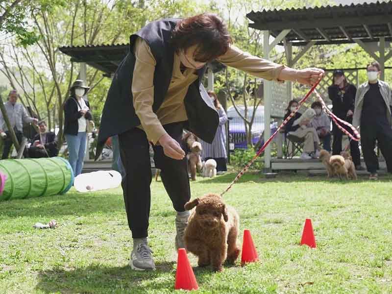 福岡市中央区,犬の保育園マザーズドッグス,犬の幼稚園