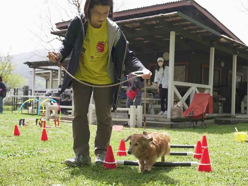 福岡市中央区,犬の保育園マザーズドッグス,犬の幼稚園