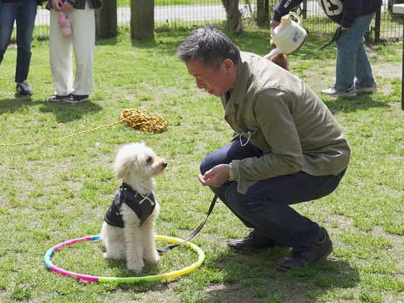 福岡市中央区,犬の保育園マザーズドッグス,犬の幼稚園