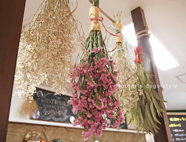 マザーズドッグス