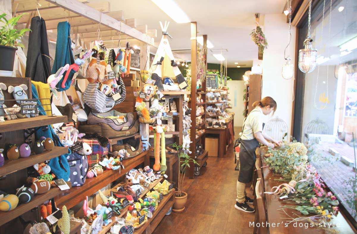 マザーズドッグス