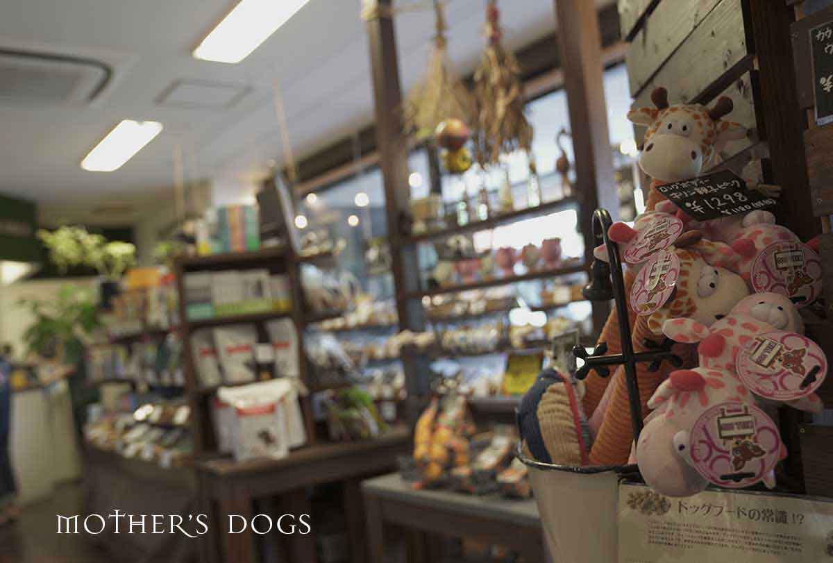 マザーズドッグス