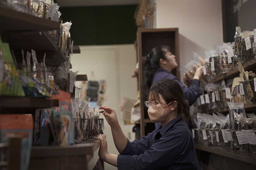 マザーズドッグス