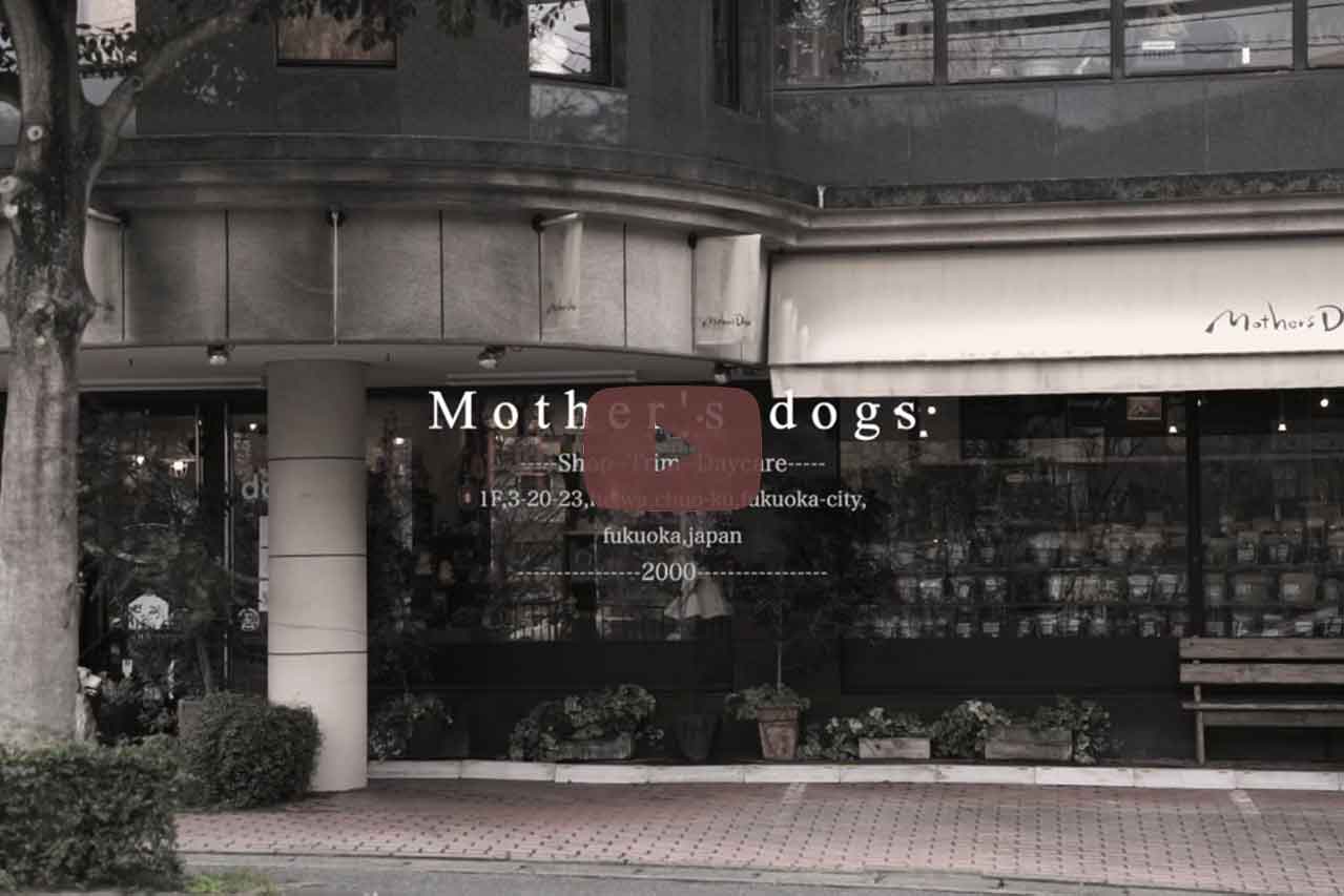 クロムエルシェイク