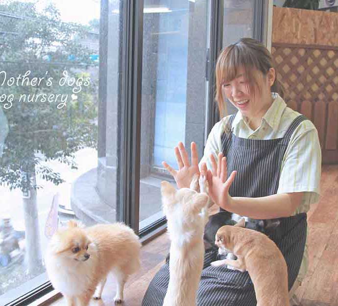 マザーズドッグス