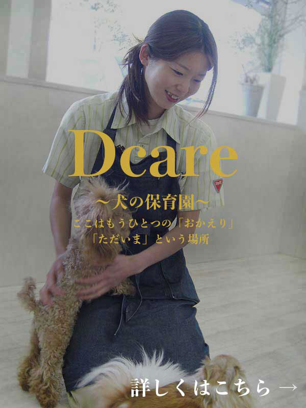 マザーズドッグス 犬の保育園