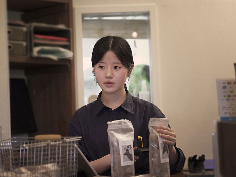 福岡市中央区,トリミング,トイプードル