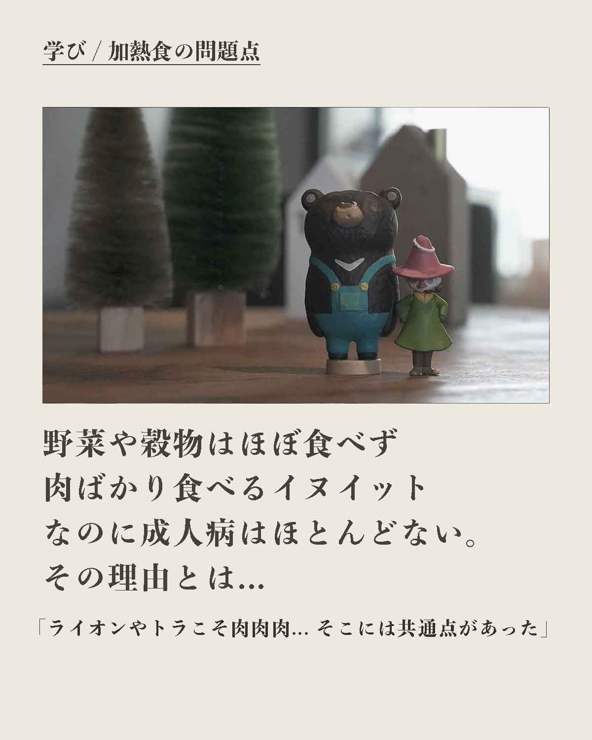 犬の手作りフード 生食 発酵野草入りローフードウルス