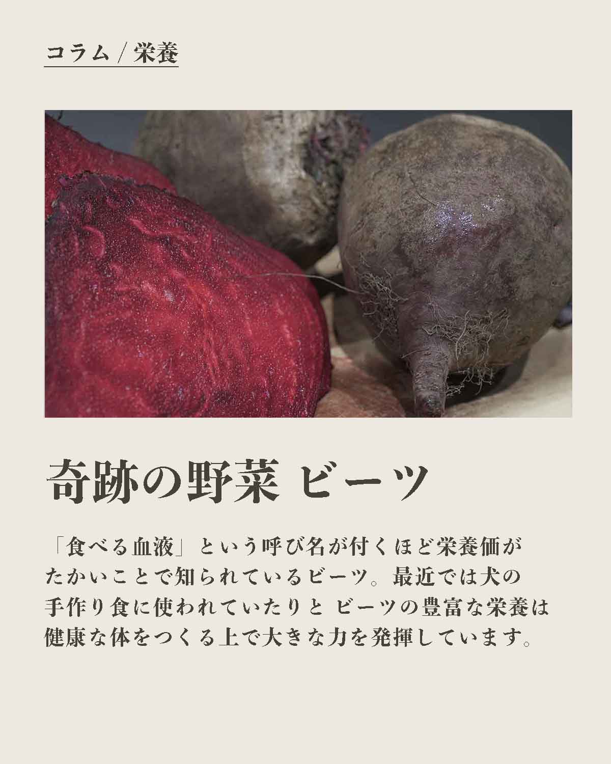 犬の食事（生食）発酵野草ローフードウルス