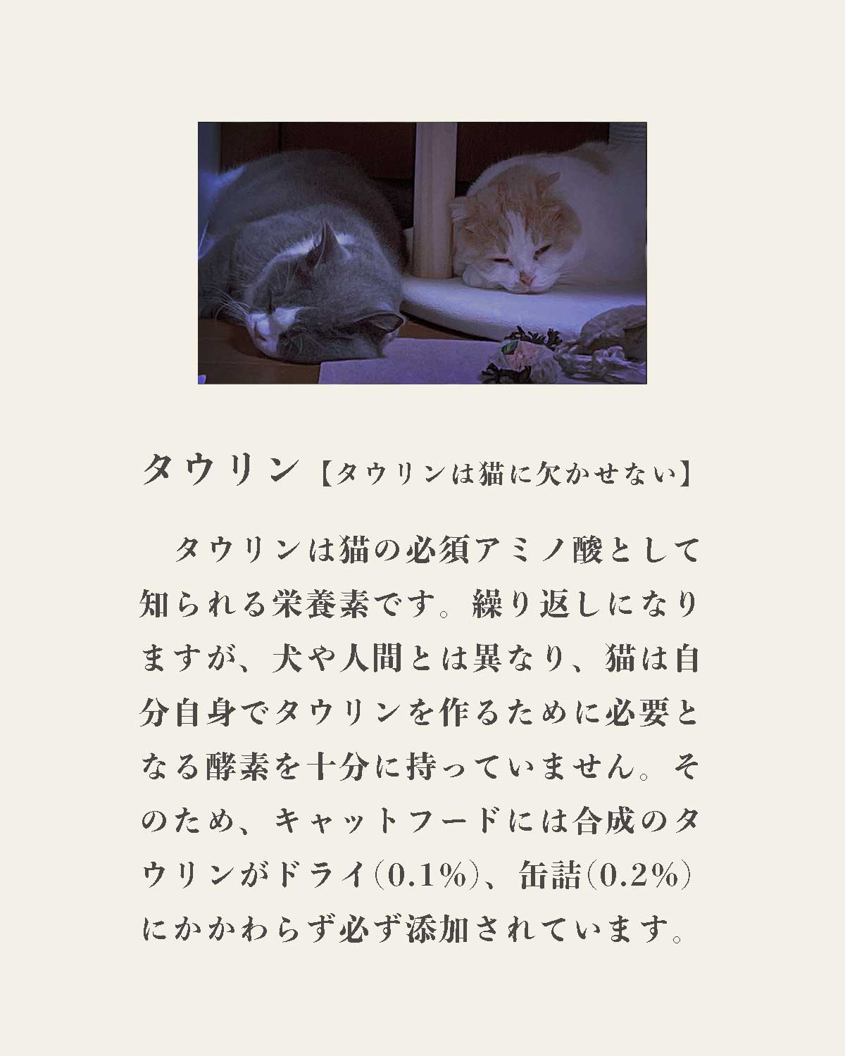 発酵野草ドッグフードウルス