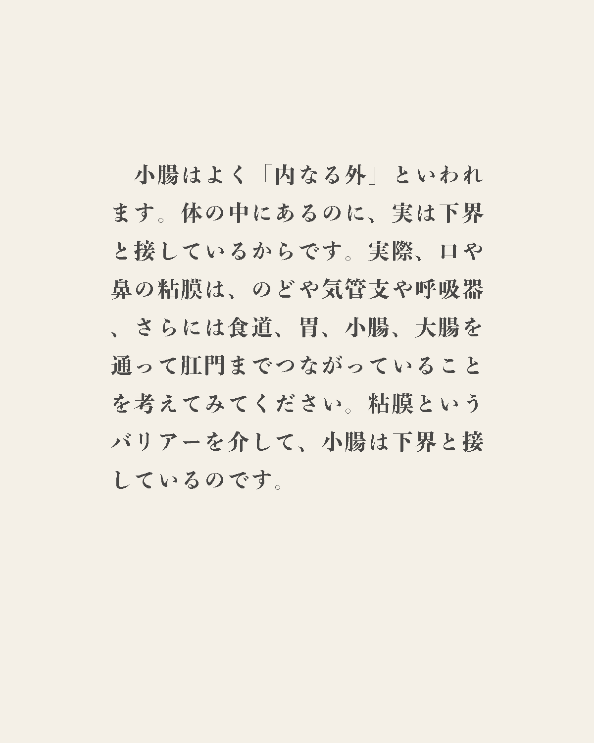 発酵野草ドッグフードウルス