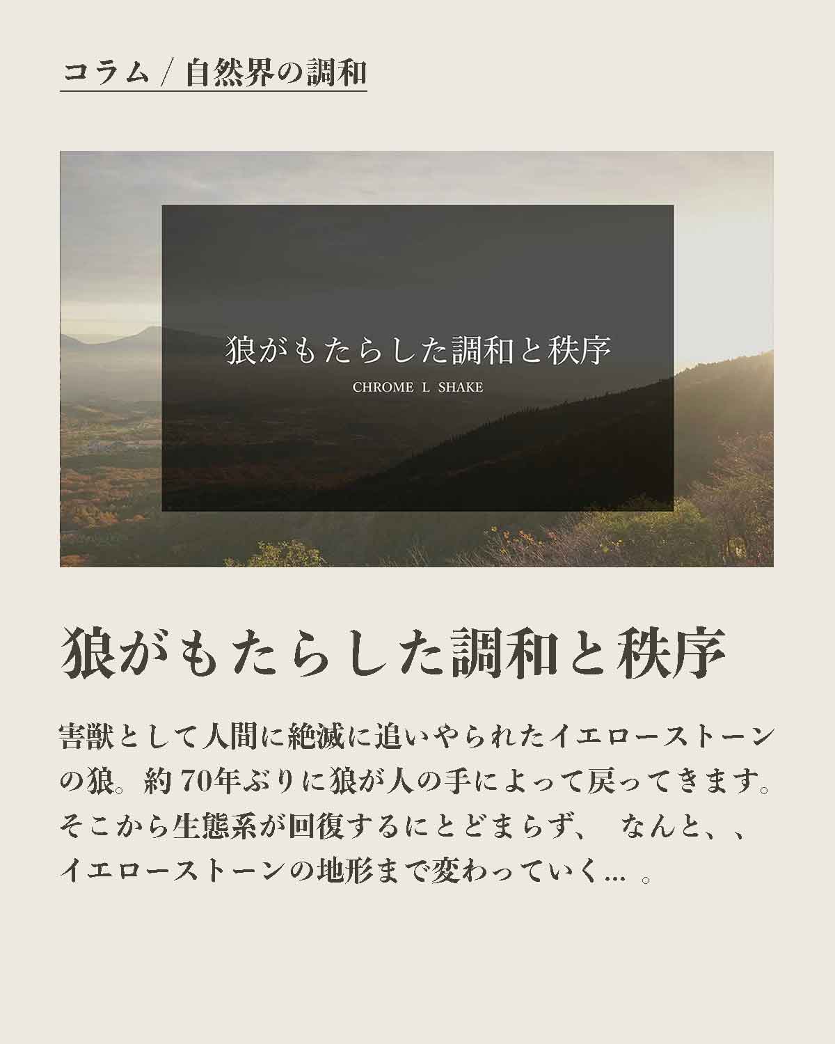 犬の食事（生食）発酵野草ローフードウルス