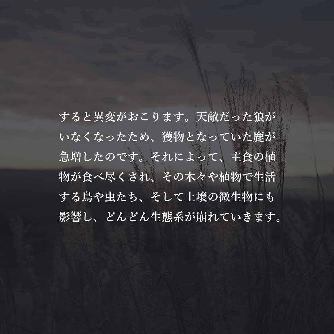 発酵野草ドッグフードウルス