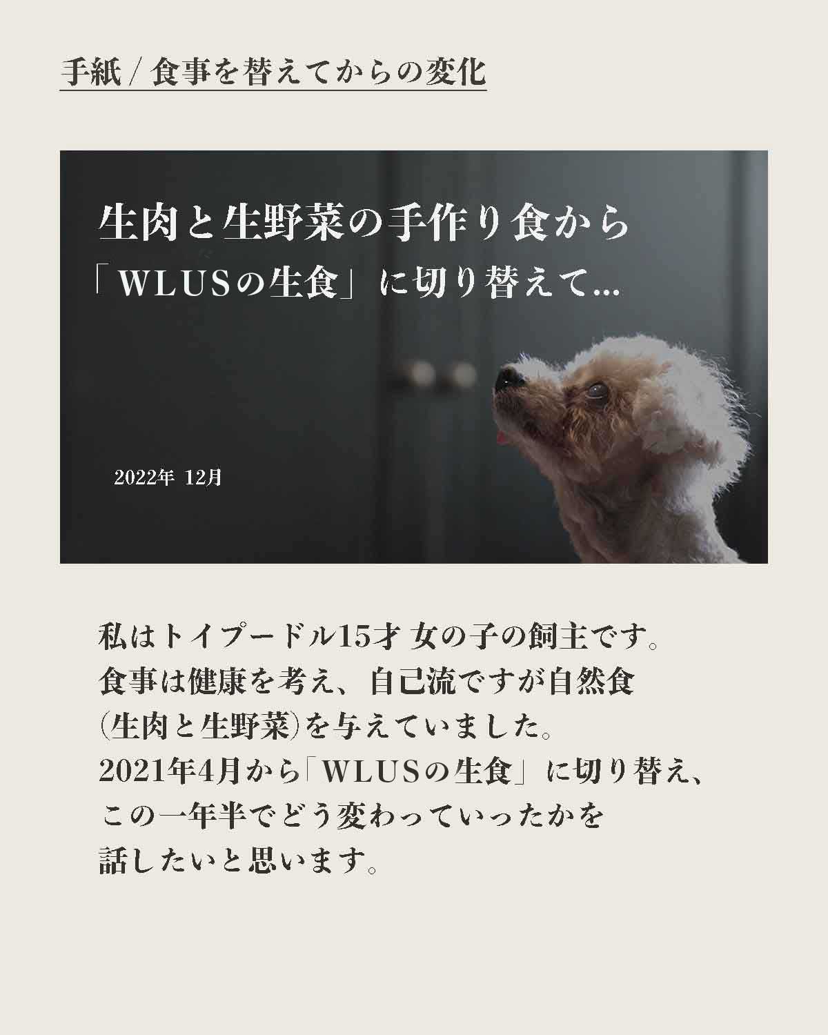 犬の手作りローフードウルス/WLUS[生食]