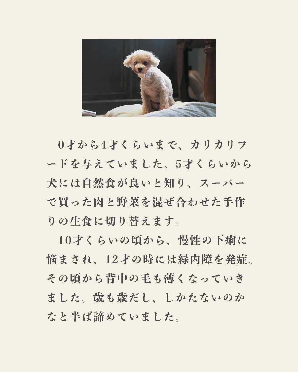 発酵野草ドッグフードウルス