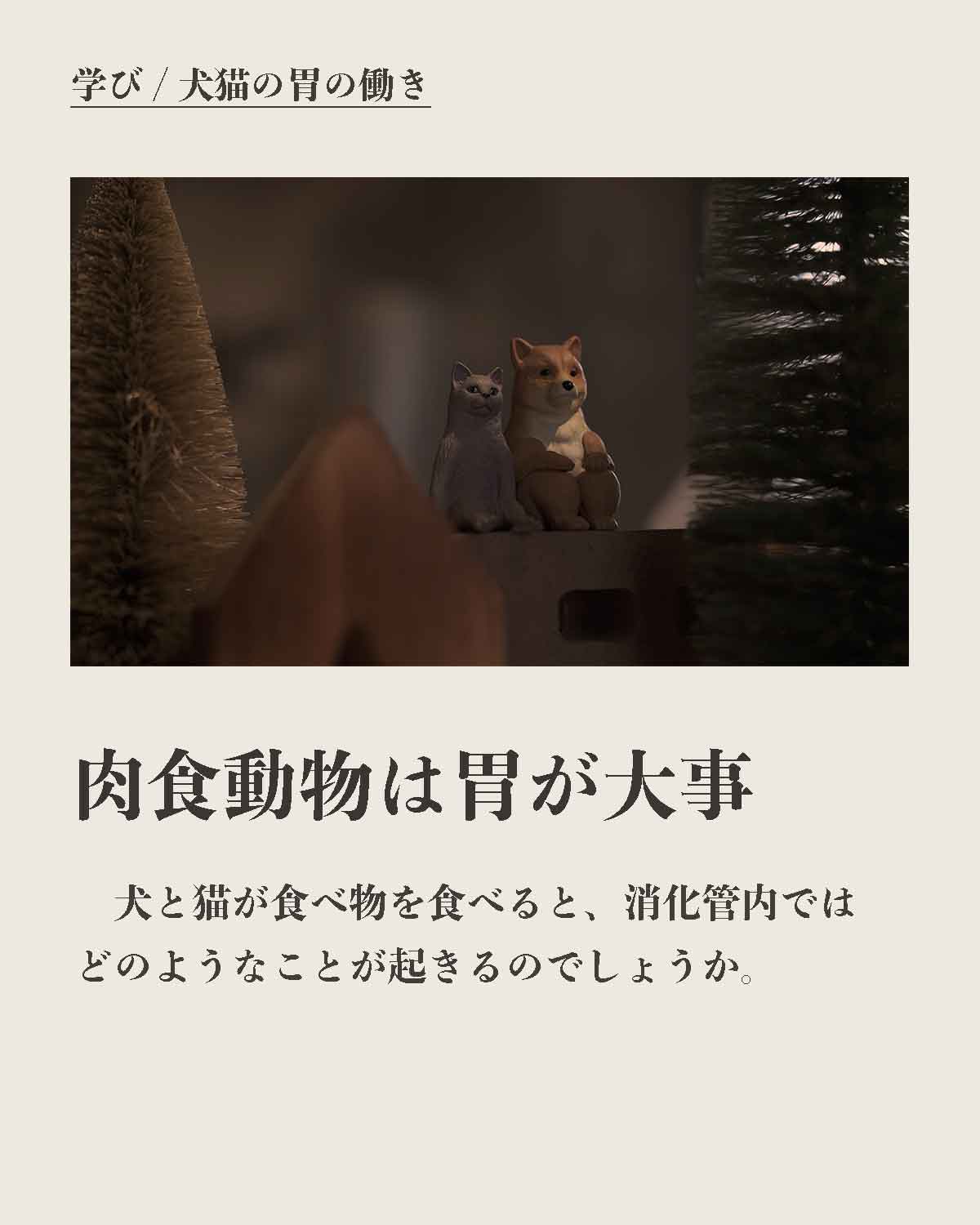 犬の手作りフード 生食 発酵野草入りローフードウルス