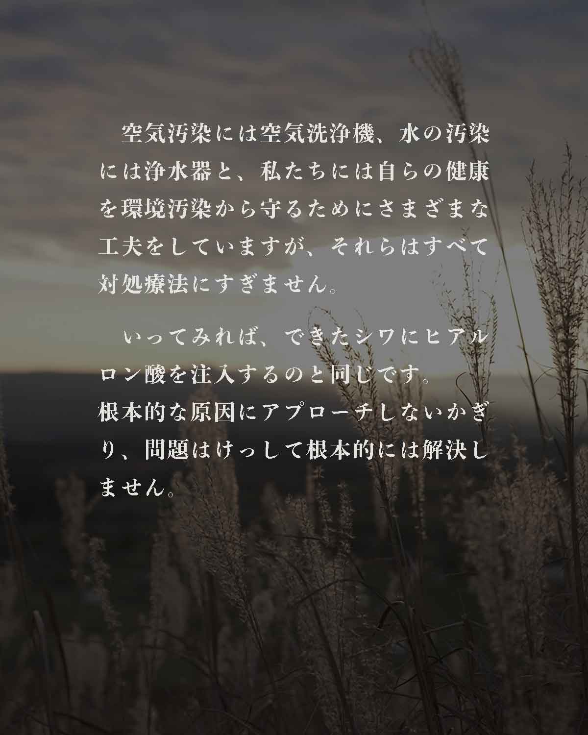 発酵野草ドッグフードウルス