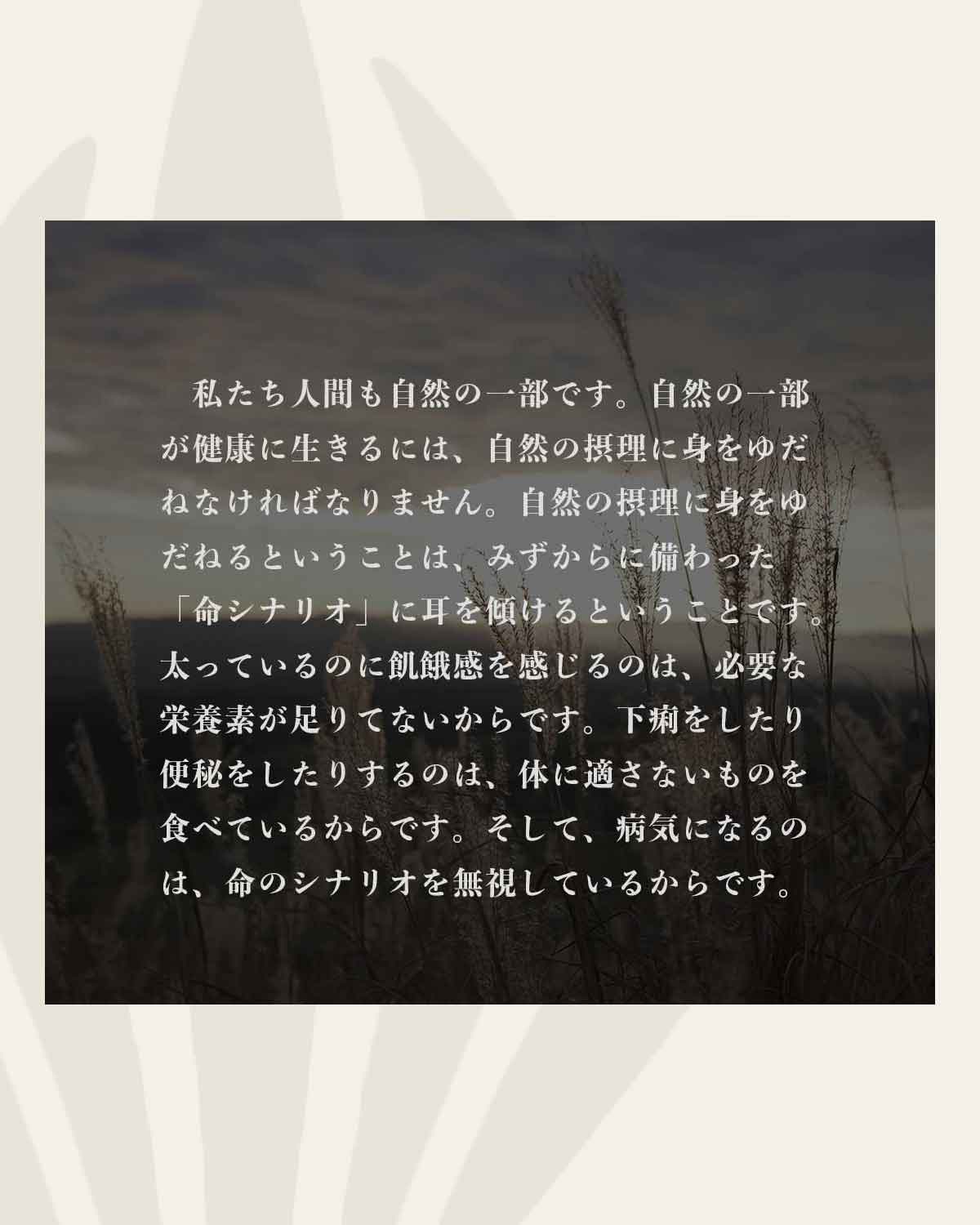 green fermented wlus