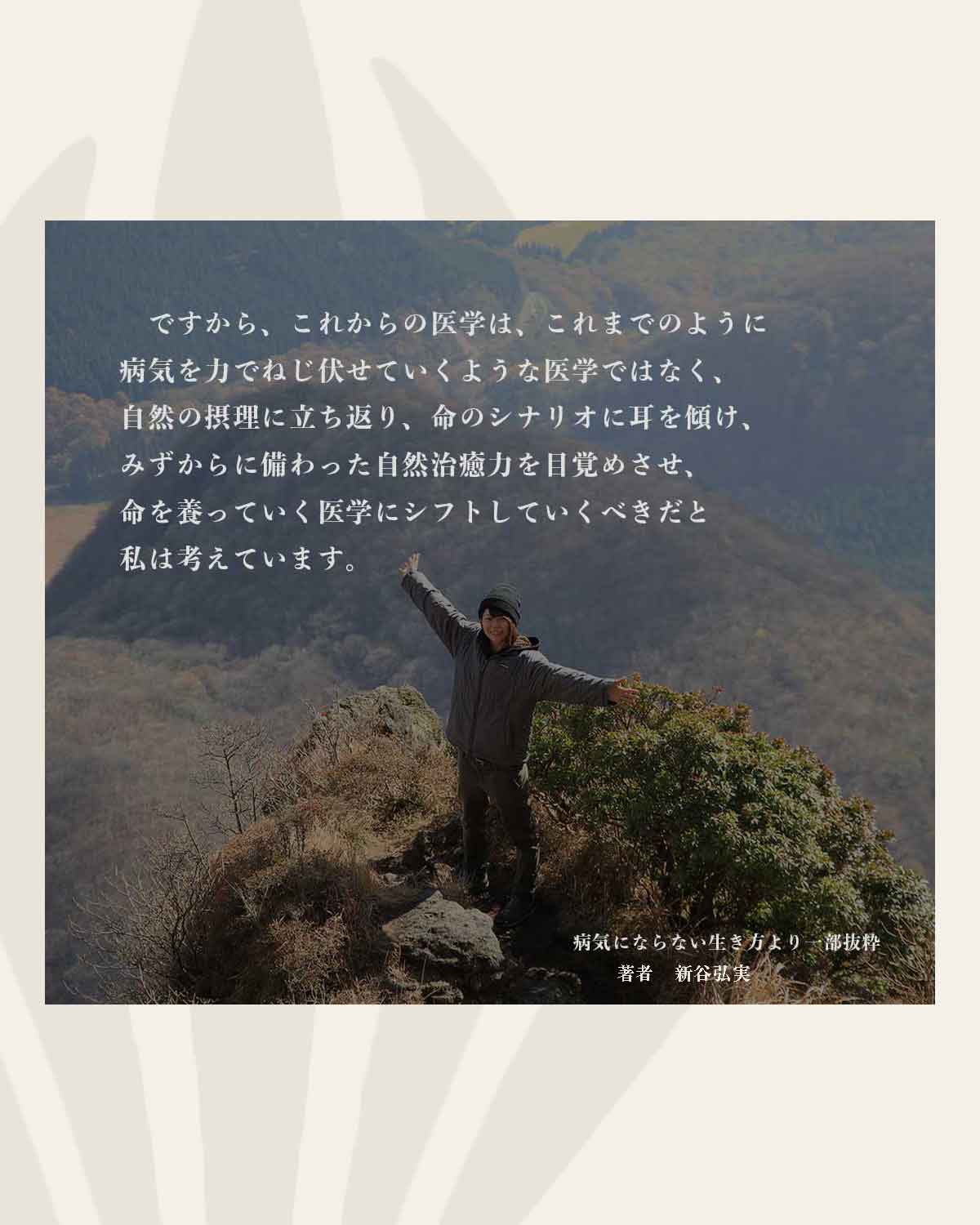 green fermented wlus