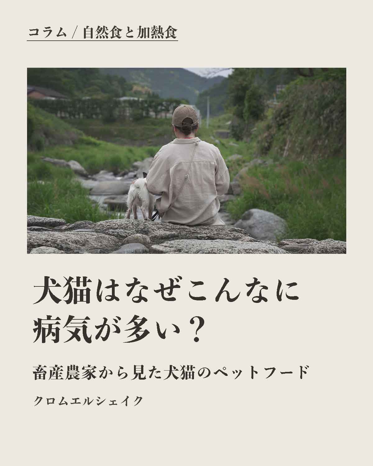 犬の食事（生食）発酵野草ローフードウルス