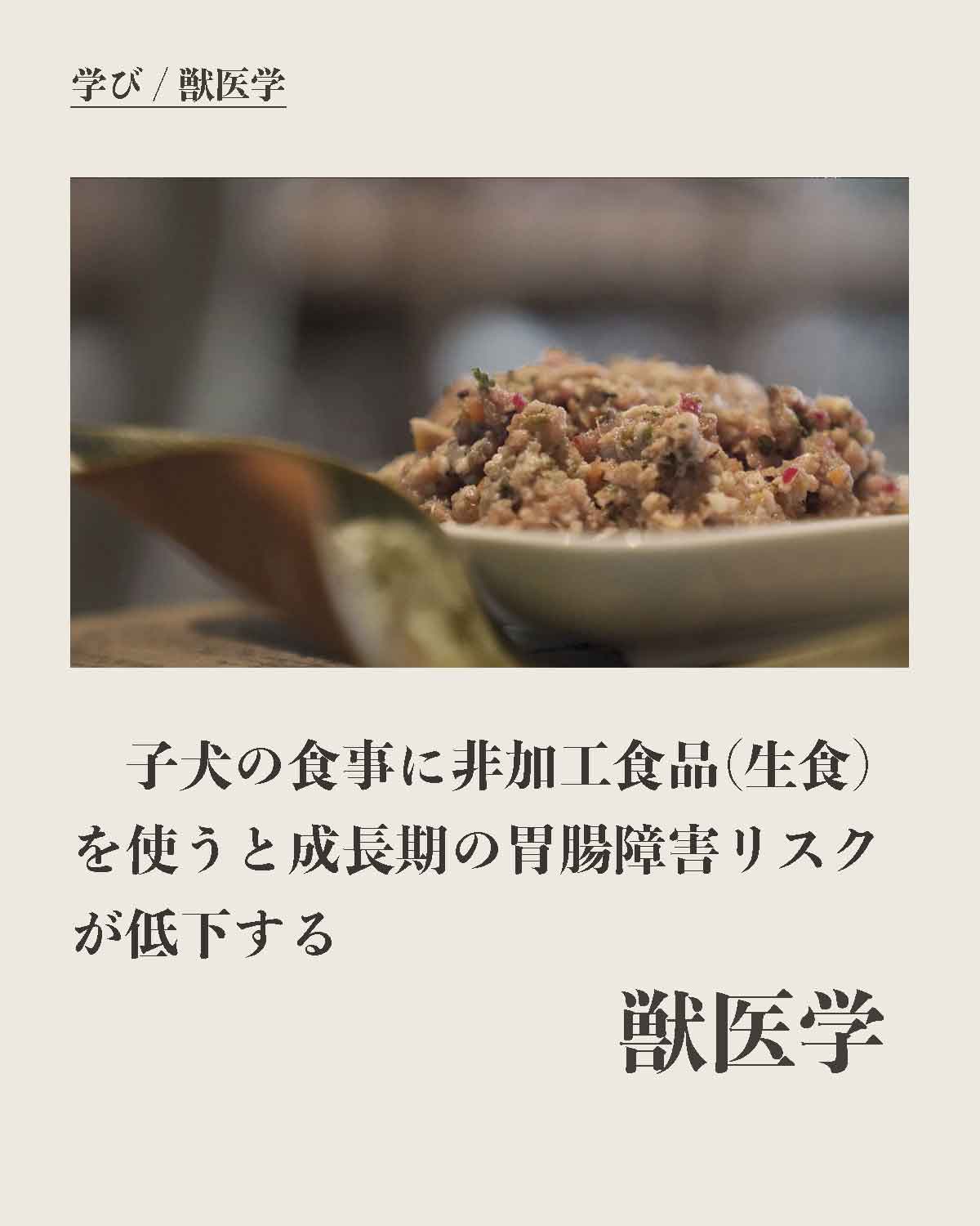 犬の手作りローフードウルス/WLUS[生食]