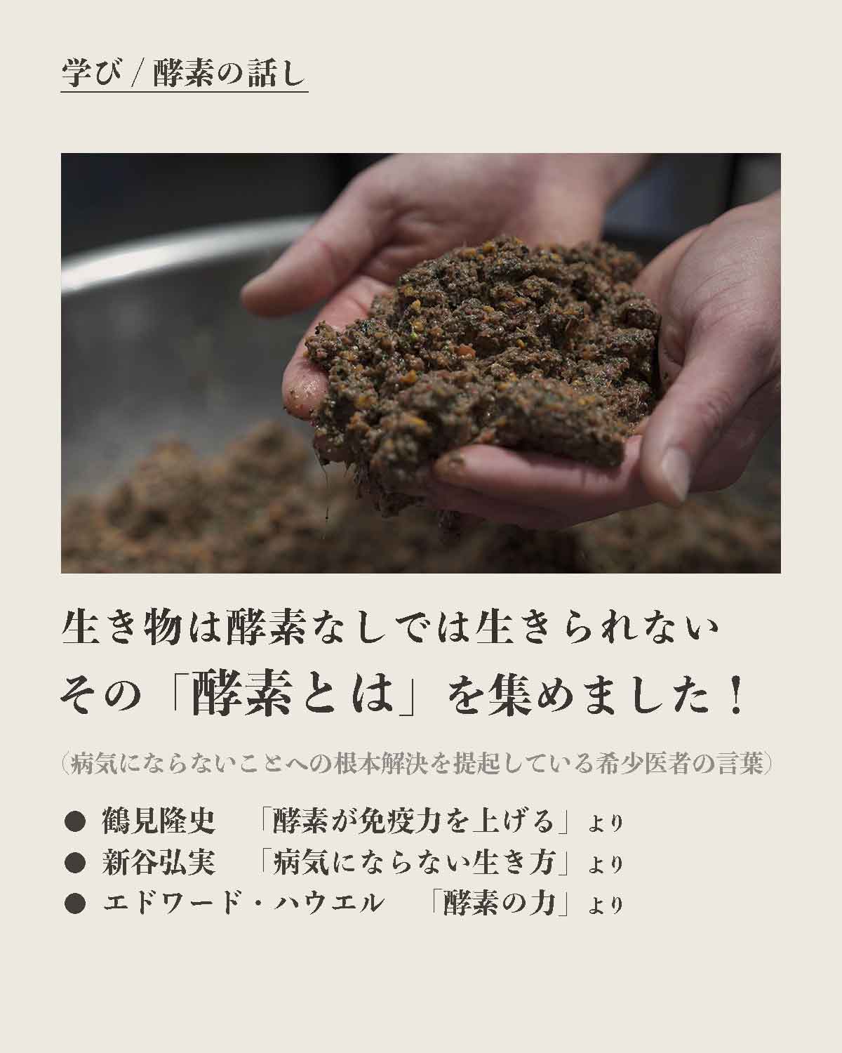 犬の手作りフード 生食 発酵野草入りローフードウルス