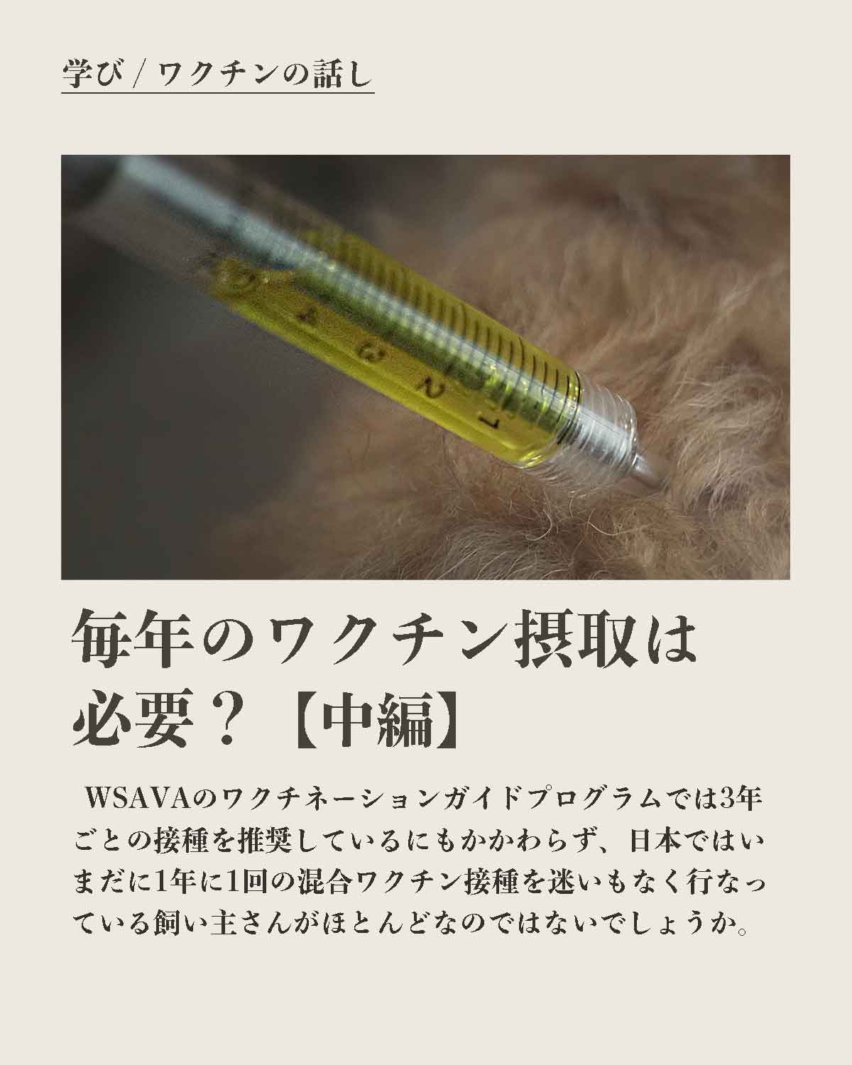 犬の手作りフード 生食 発酵野草入りローフードウルス