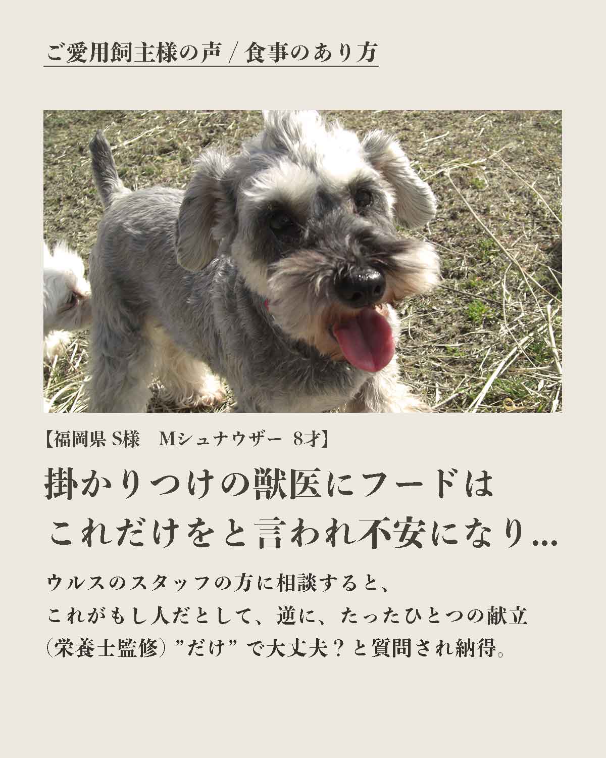 発酵野草ドッグフードウルス