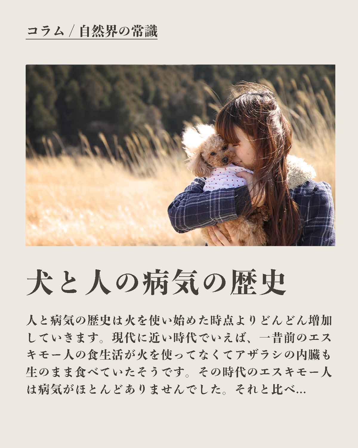 犬の手作りフード 生食 発酵野草入りローフードウルス