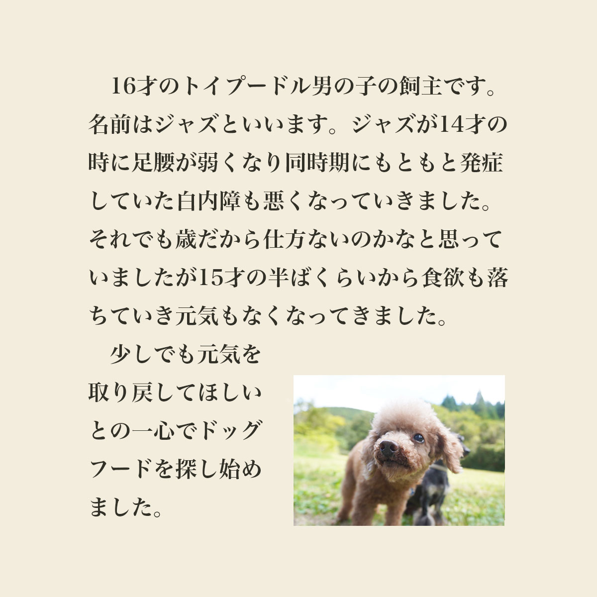 発酵野草ドッグフードウルス