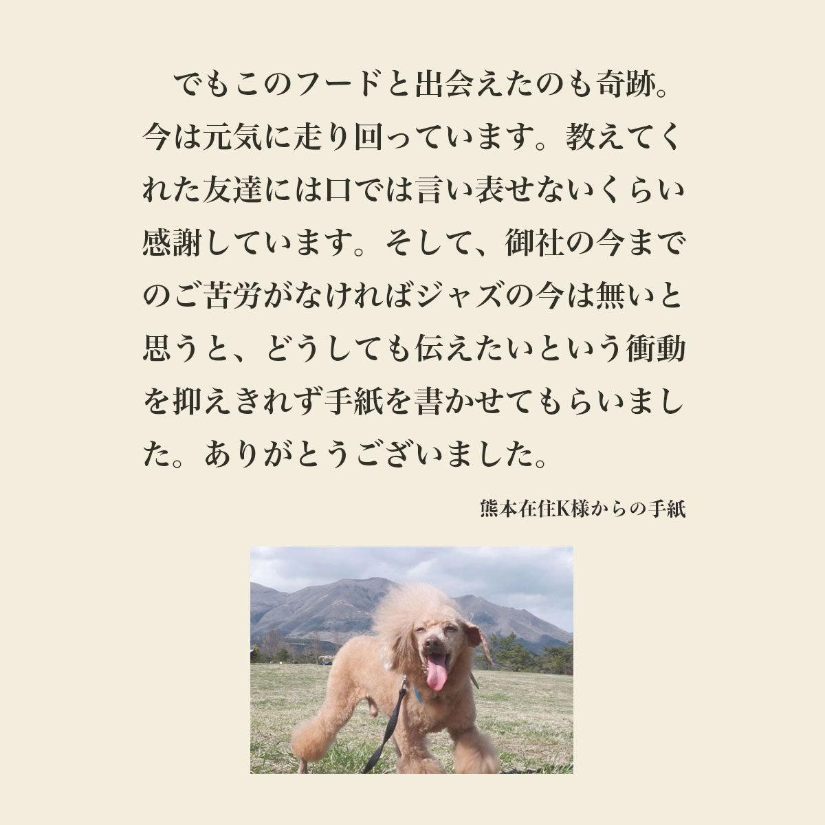 発酵野草ドッグフードウルス