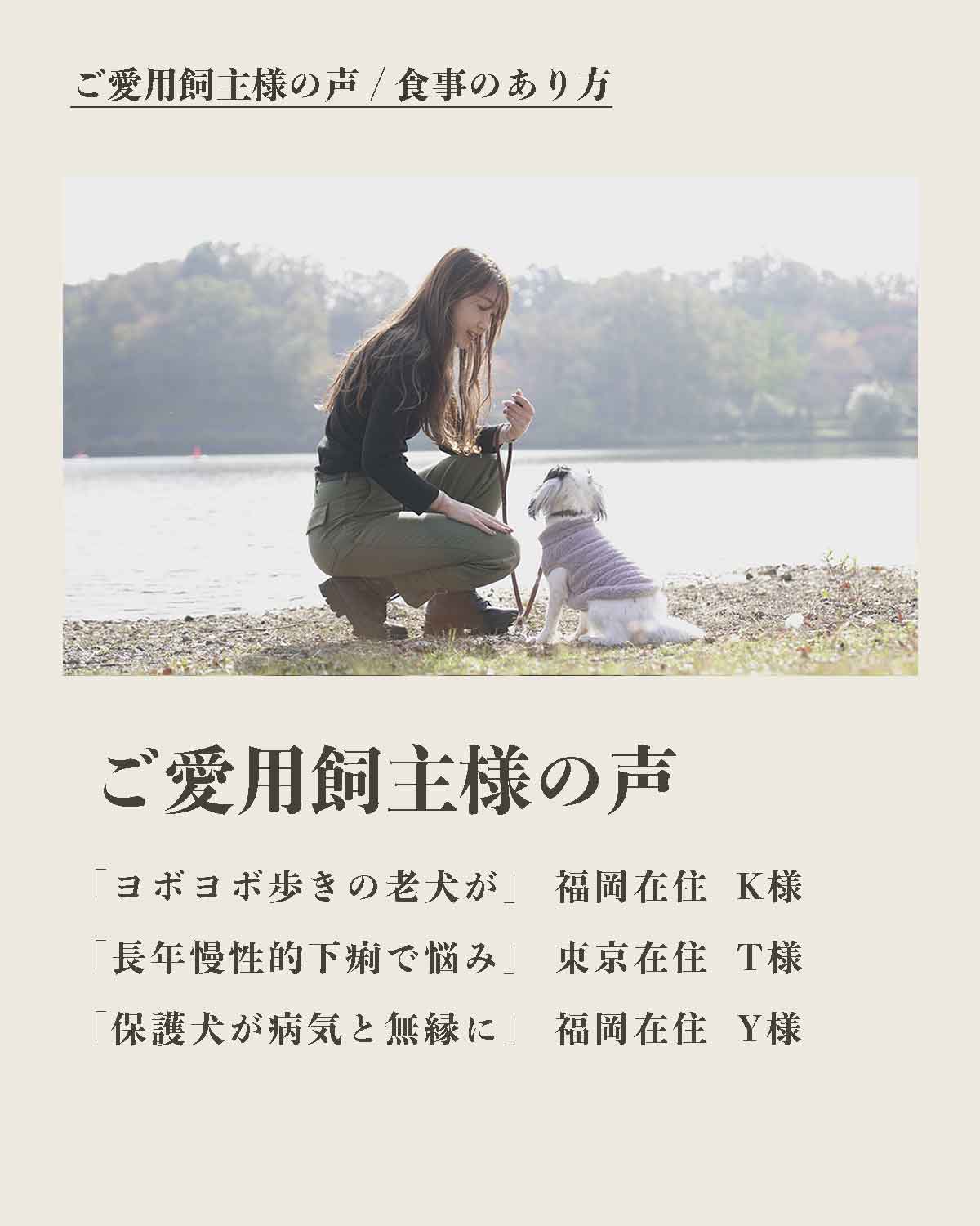 犬の手作りフード 生食 発酵野草入りローフードウルス