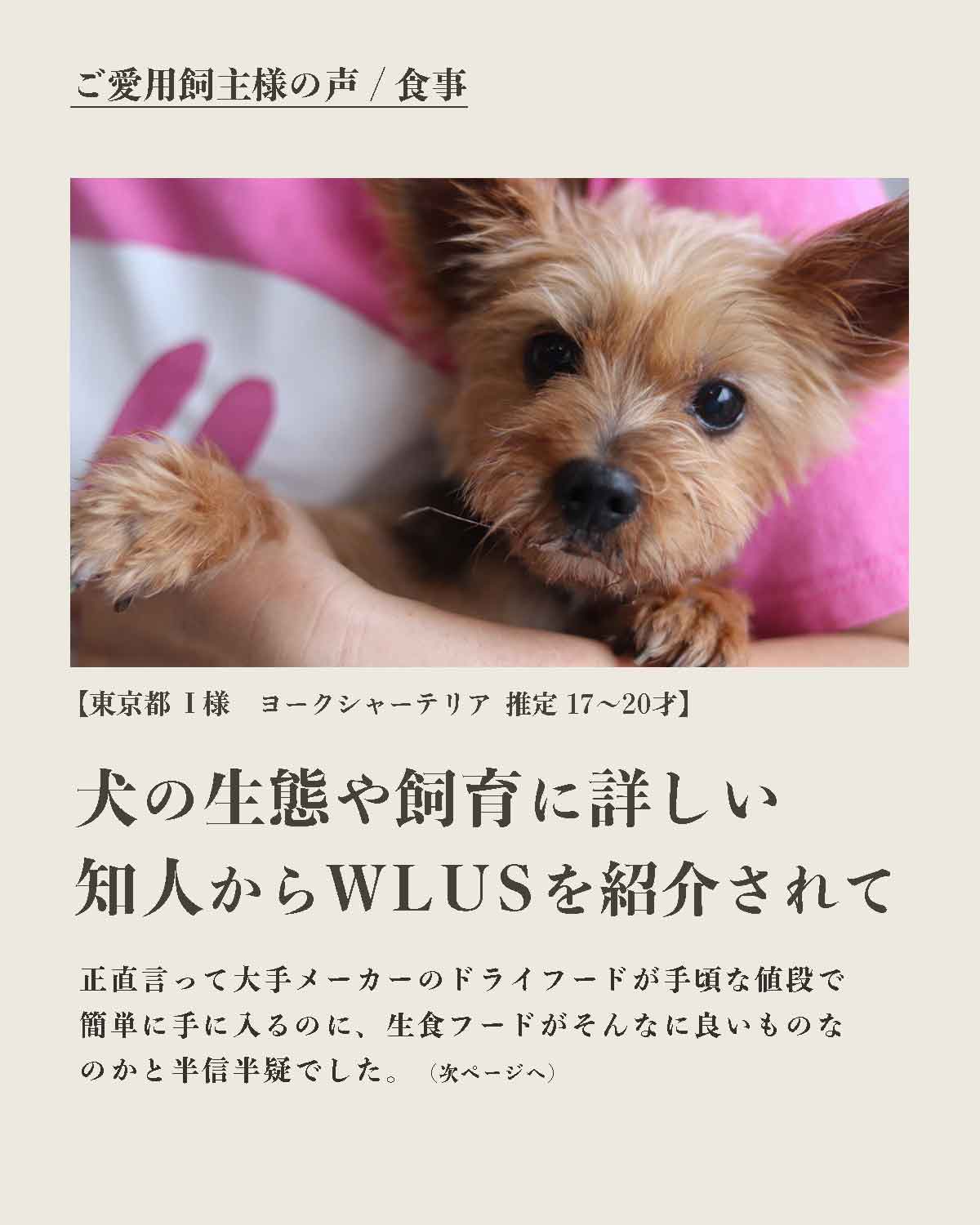 犬の手作りフード 生食 発酵野草入りローフードウルス