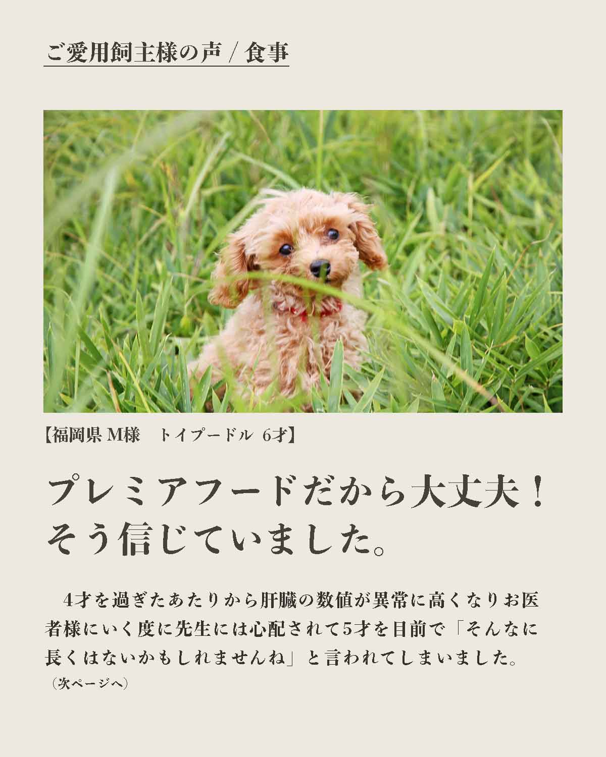 犬の手作りフード 生食 発酵野草入りローフードウルス