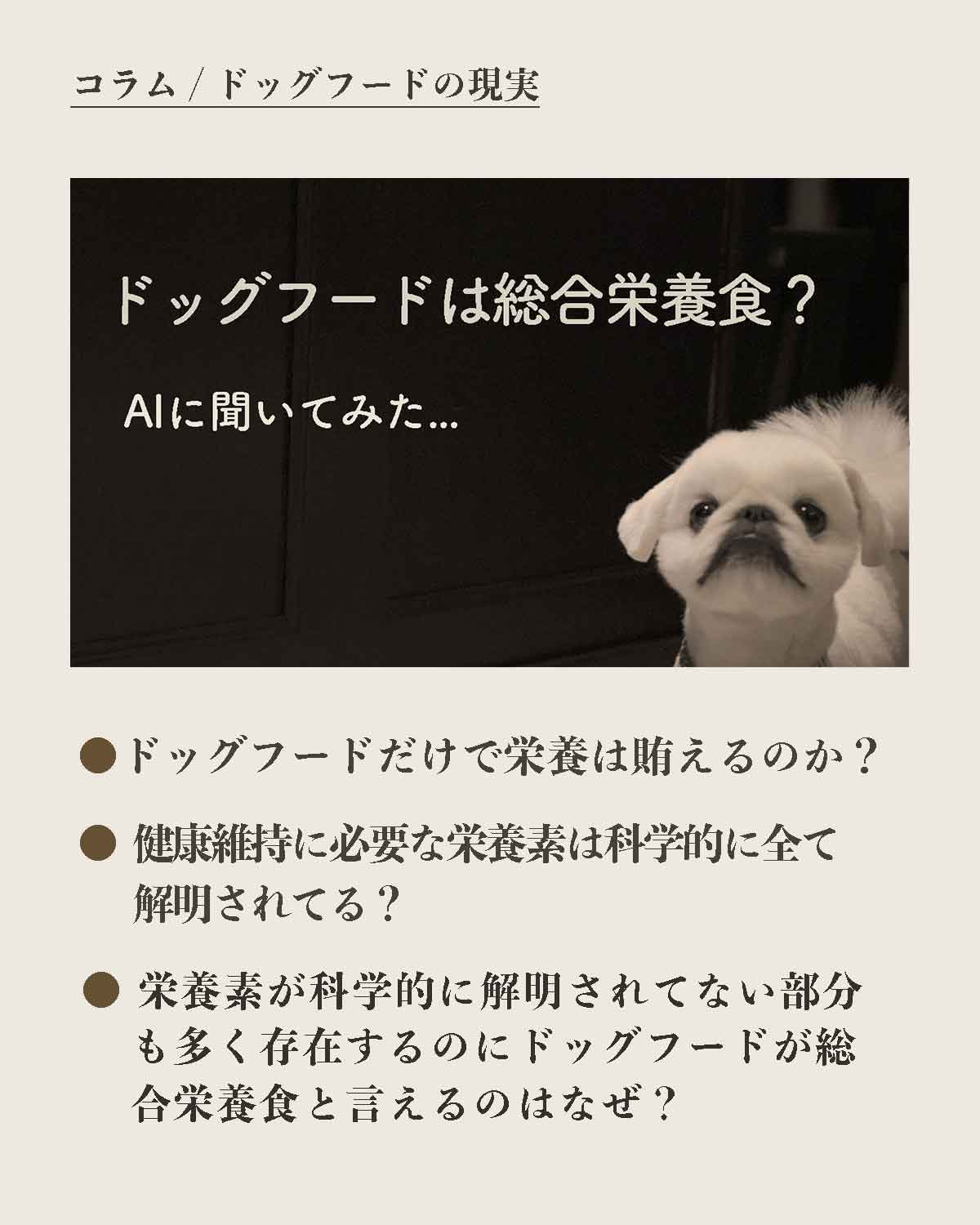 犬の手作りフード 生食 発酵野草入りローフードウルス