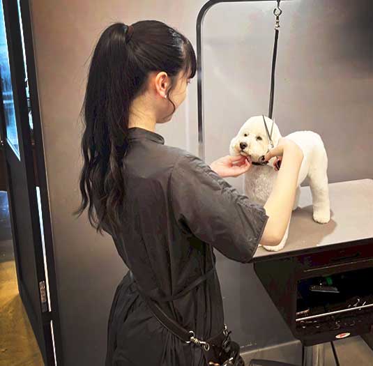 福島のトリミングサロン　ルーヴ