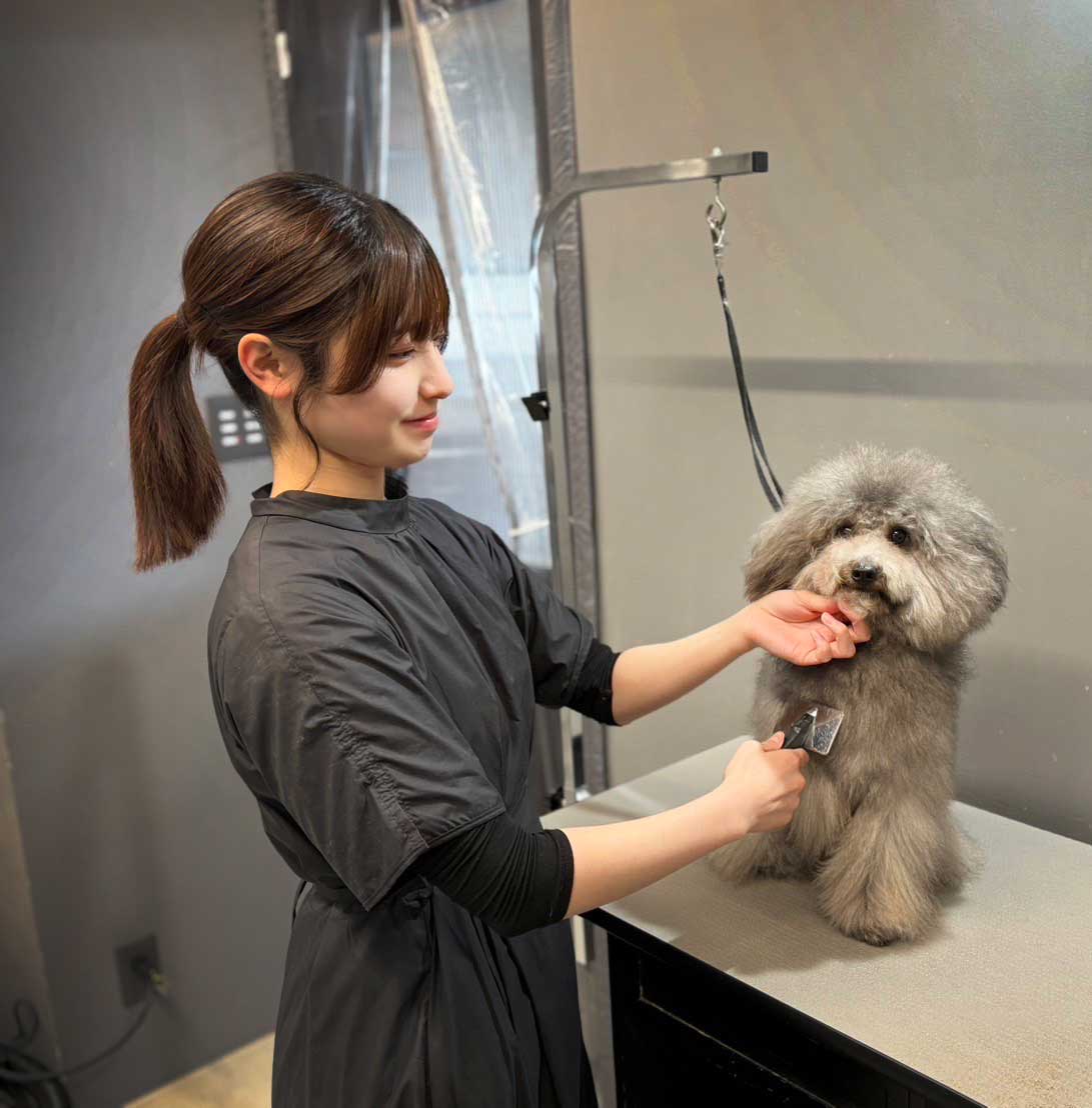福島のトリミングサロン　ルーヴ