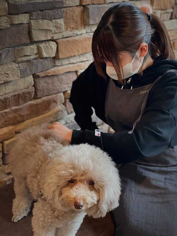 福島のトリミングサロン　ルーヴ