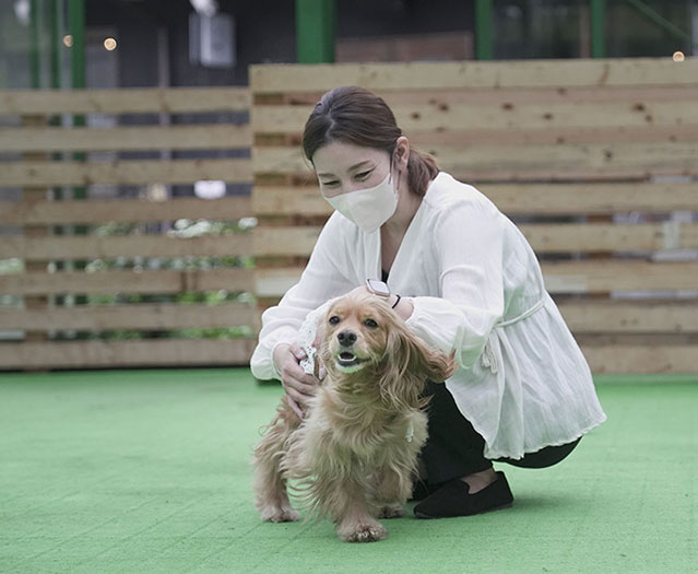 福島のドッグラン　ワンズゲート