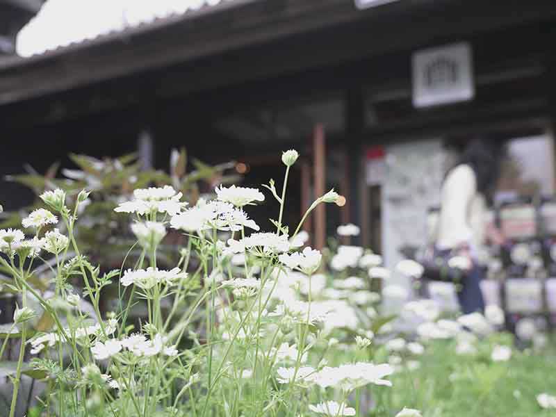 福島のドッグラン　ワンズゲート