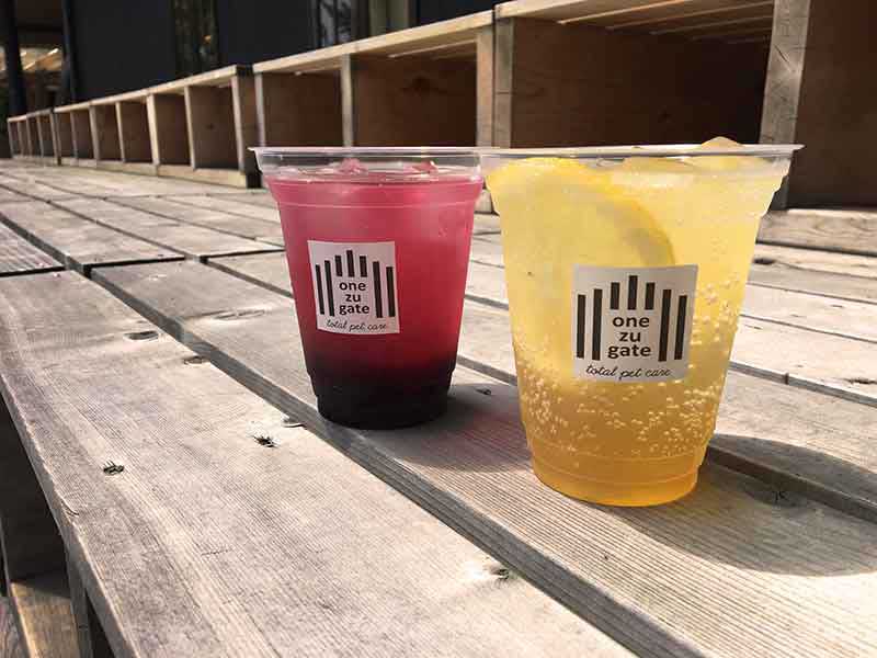 福島のドッグラン　ワンズゲート