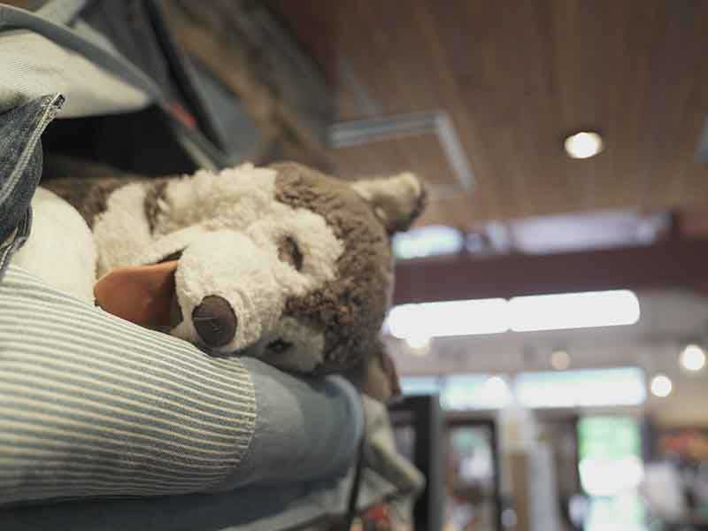 福島のドッグラン　ワンズゲート