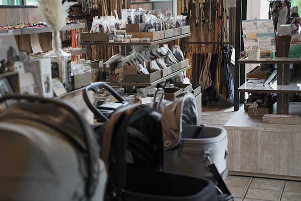 福島のドッグラン　ワンズゲート