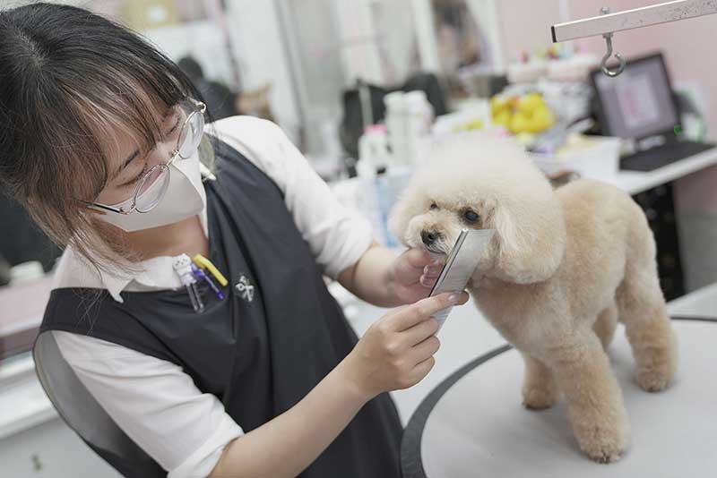稲城市トリミングサロン　わんこまにあ
