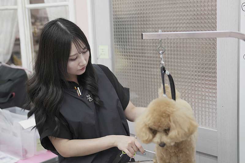 稲城市トリミングサロン　わんこまにあ