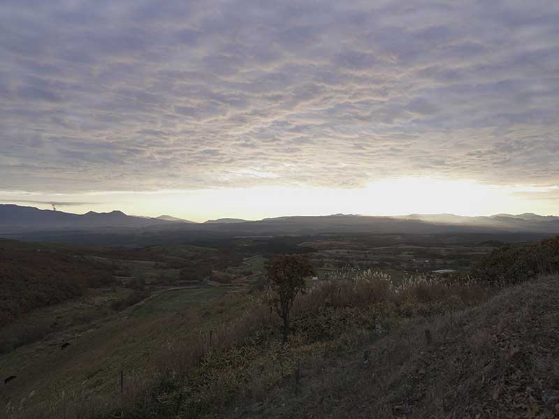 アニマルヘルスケアサポート楓