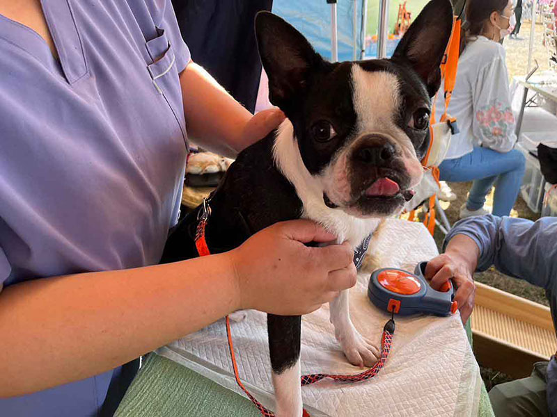 アニマルヘルスケアサポート楓