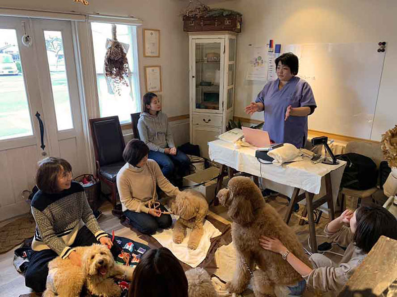 アニマルヘルスケアサポート楓