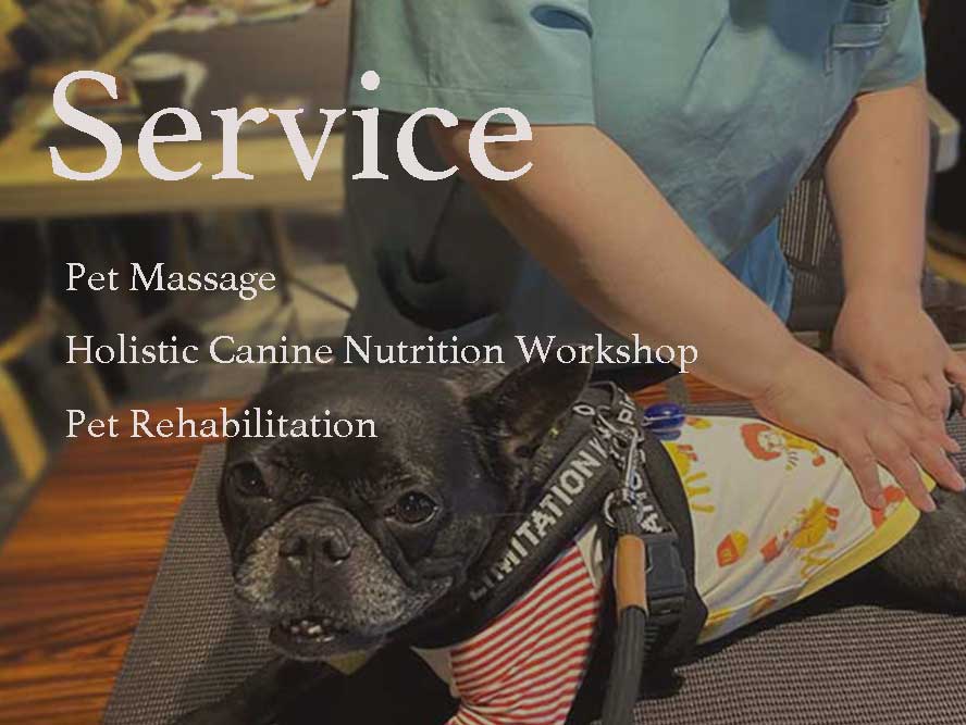 アニマルヘルスケアサポート楓 サービス