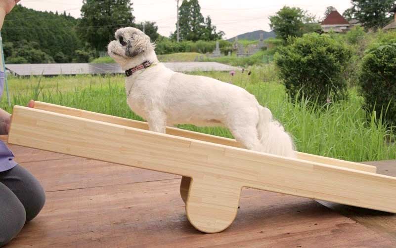 アニマルヘルスケアサポート楓